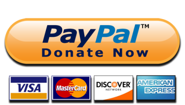 PayPal-Donate-Button-High-Quality-PNG